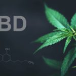 Quelles différences entre cannabis et CBD ?