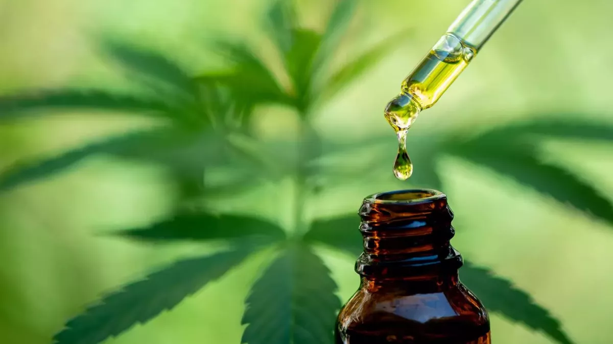huile cbd
